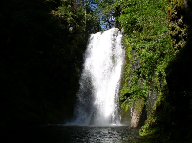 5.29.06 Siouxon Creek 036 